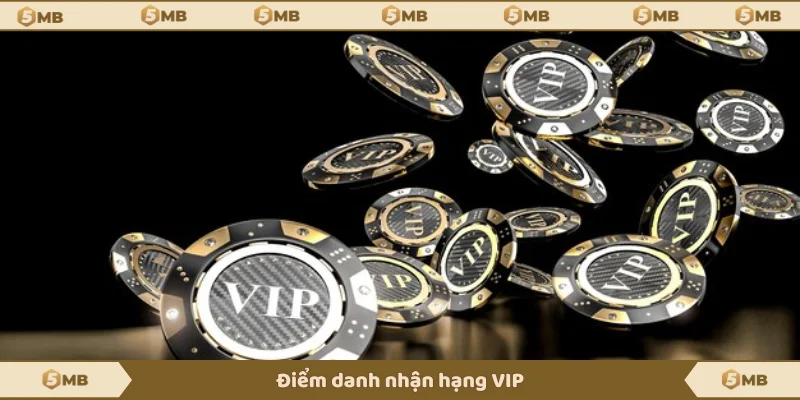 Cấp độ VIP cần điểm danh cá cược đều đặn