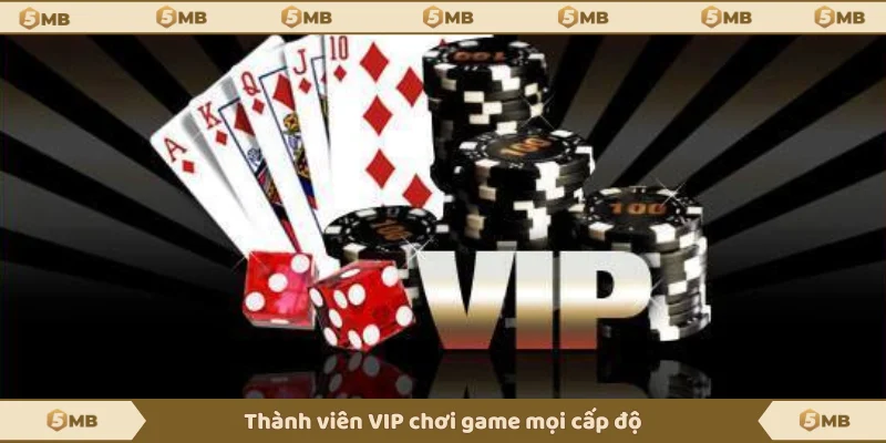 Người chơi VIP thả ga chinh phục cấp độ game