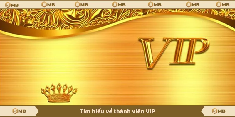 Thành viên VIP được hiểu là gì?