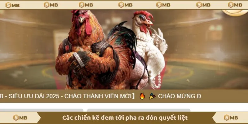 Các chiến kê đem tới pha ra đòn quyết liệt