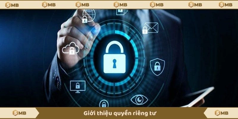 Giới thiệu quyền riêng tư