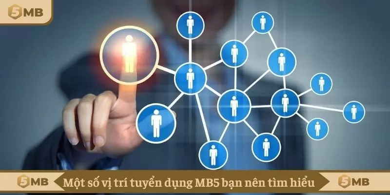 Một số vị trí tuyển dụng MB5 bạn nên tìm hiểu 