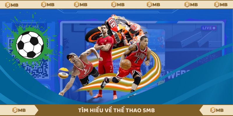 Một vài thông tin cơ bản về thể thao 5MB