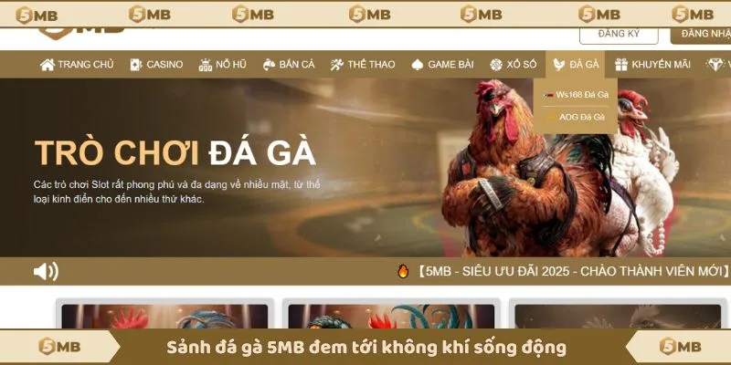 Sảnh đá gà 5MB đem tới không khí sống động