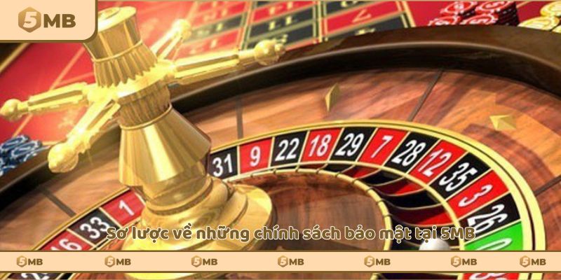 Sơ lược về các quy định và luật lệ tại 5MB