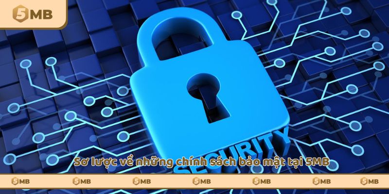 Sơ lược về những chính sách bảo mật tại 5MB