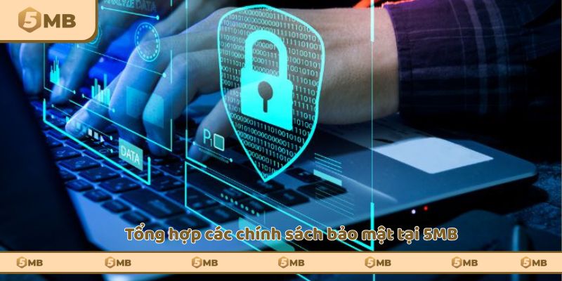 Tổng hợp các chính sách bảo mật tại 5MB