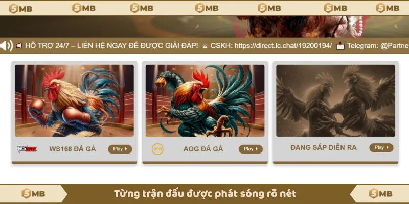 Từng trận đấu được phát sóng rõ nét 